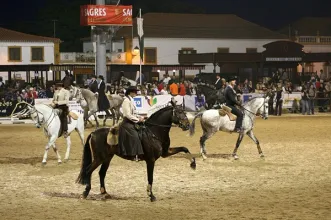 Evento - Feira Nacional do Cavalo - Golegã  - Golegã - De sexta-feira, 7 de novembro de 2025 a domingo, 16 de novembro de 2025