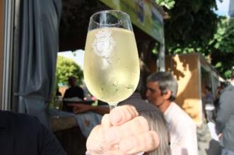 Evento - Feira do Vinho Verde, do Lavrador, Gastronomia e Artesanato - Castelo de Paiva - Primeiro Fim de semana de Julho