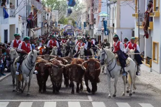 Local - Festas em Honra de N.ª Sr.ª do Castelo - Coruche| Coruche| Lezíria do Tejo