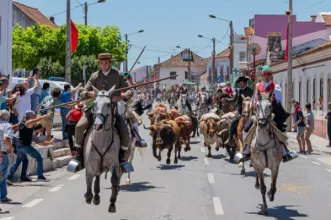 Evento - Festas da Ascensão - Chamusca - De 4 de maio de 2024 a 12 de maio de 2024