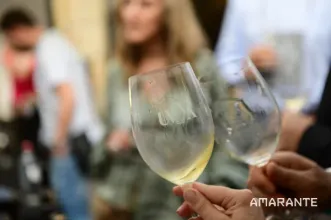 Event - UVVA – Universo Vinho Verde Amarante - Amarante - From 14 to 16 from June 