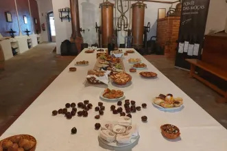 Local - Merendas de Acordeão - Carvoeira | Torres Vedras| Oeste