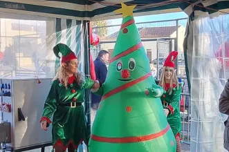 Local - Mercado de Natal - Alqueidão | Junta de Freguesia de Alqueidão| Figueira da Foz| Região de Coimbra
