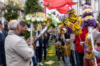 Local - Festa das Tochas Floridas - São Brás de Alportel| São Brás de Alportel| Algarve