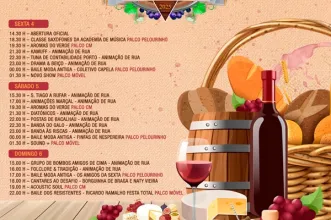 Local - Feira do Vinho Verde, do Lavrador, Gastronomia e Artesanato - Castelo de Paiva| Castelo de Paiva| Tâmega e Sousa
