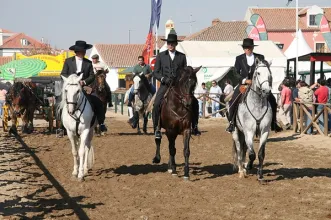 Local - Feira Nacional do Cavalo - Golegã  - Golegã| Golegã| Lezíria do Tejo
