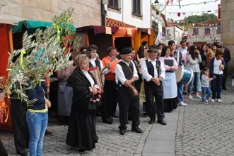 Local - Festa das Vindimas - Barcos| Tabuaço| Douro