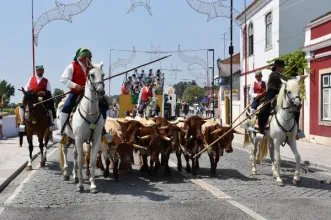 Local - Festas em Honra de N.ª Sr.ª do Castelo - Coruche| Coruche| Lezíria do Tejo