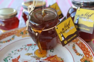 Local - Feira de Enchidos, Queijo e Mel - Vila de Rei| Vila de Rei| Beira Baixa