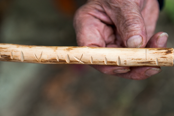 Local - Talas ou Varas da Justiça  - Rio de Onor| Bragança| Terras de Trás-os-Montes