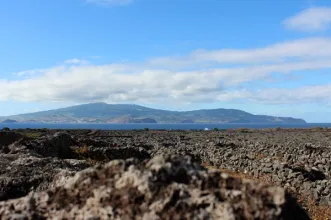 Local - Paisagem da Cultura da Vinha da Ilha do Pico  - Lajido da Criação Velha| Madalena| Região Autónoma dos Açores| Portugal
