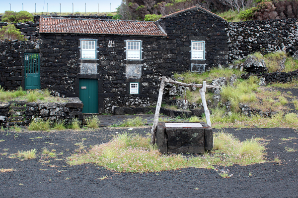 Local - Lugar do Cachorro - Bandeiras| Madalena| Região Autónoma dos Açores