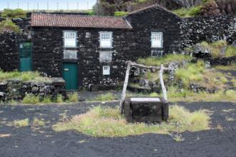 Local - Lugar do Cachorro - Bandeiras| Madalena| Região Autónoma dos Açores