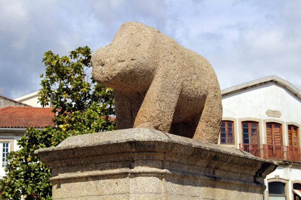 Local - Porca de Murça - Murça| Murça| Douro