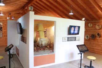 Local - Centro Micológico de Vinhais - Vinhais| Vinhais| Terras de Trás-os-Montes| Portugal