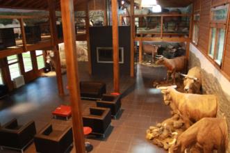 Local - Centro Interpretativo das Raças Autóctones   - Vinhais| Vinhais| Terras de Trás-os-Montes| Portugal