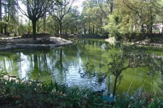 Local - Parque La Salette - Oliveira de Azeméis| Oliveira de Azeméis| Área Metropolitana do Porto