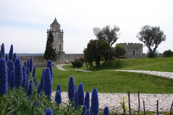 Local - Castelo de Montemor-o-Velho  - Montemor-o-Velho| Montemor-O-Velho| Região de Coimbra