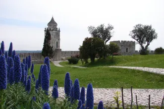 Local - Castelo de Montemor-o-Velho  - Montemor-o-Velho| Montemor-O-Velho| Região de Coimbra