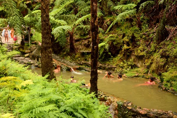 Local - Centro de Interpretação Ambiental da Caldeira Velha  - Ribeira Grande| Ribeira Grande| Região Autónoma dos Açores