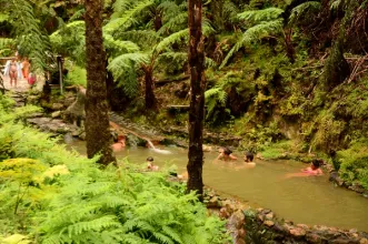 Local - Centro de Interpretação Ambiental da Caldeira Velha  - Ribeira Grande| Ribeira Grande| Região Autónoma dos Açores
