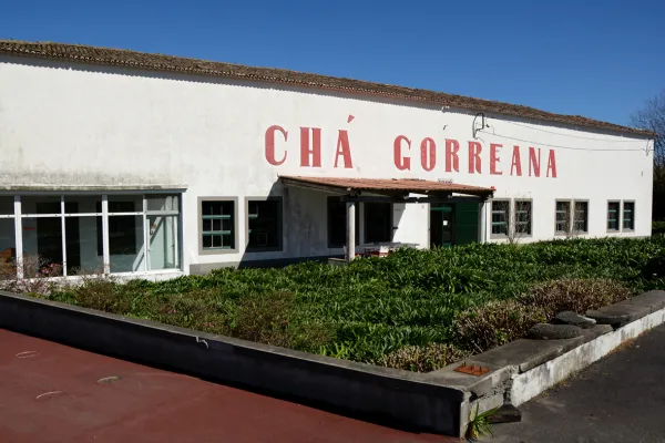 Local - Fábrica de Chá Gorreana - Gorreana de Cima| Ribeira Grande| Região Autónoma dos Açores