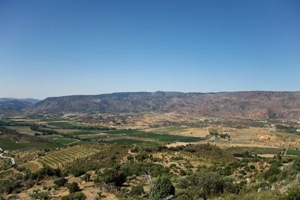 Local - Vale da Vilariça - Torre de Moncorvo| Douro