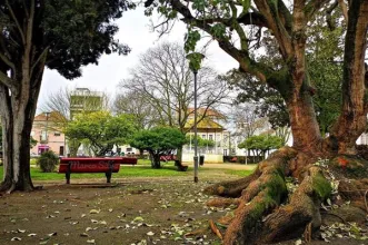 Local - Jardim dos Franceses - Barreiro| Barreiro| Área Metropolitana de Lisboa| Portugal