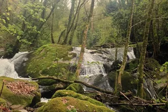 Local - Cascata das Lages Altas - Infesta| Paredes de Coura| Alto Minho