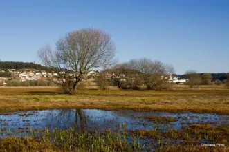 Local - Pateira de Frossos - Frossos| Albergaria-A-Velha| Região de Aveiro| Portugal