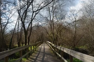 Local - Parque das Ribeiras Rio Uíma - Fiães| Santa Maria da Feira| Área Metropolitana do Porto| Portugal