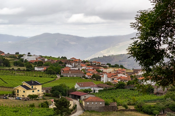 Local - Aldeia Vinhateira de Provesende - Provesende| Sabrosa| Douro