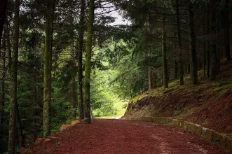 Local - Parque do Ladário - Cinfães| Cinfães| Tâmega e Sousa| Portugal