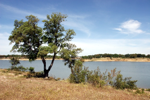 Local - Barragem de Fonte Cerne - São Domingos| Santiago do Cacém| Alentejo Litoral
