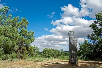 Local - Menir do Vale Maria Pais - Antas| Penedono| Douro| Portugal