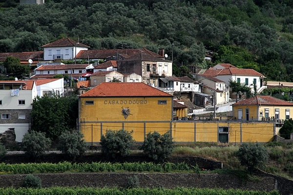 Local - Casa do Douro - Peso da Régua| Peso da Régua| Douro