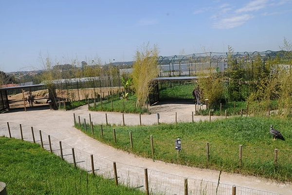 Point of Interest - Maia Zoo - Maia| Maia| Área Metropolitana do Porto