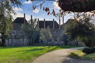 Local - Paço dos Duques de Bragança - Guimarães| Guimarães| Ave| Portugal