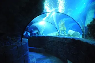 Local - Sea Life Porto - Porto| Porto| Área Metropolitana do Porto