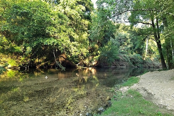 Local - Praia Fluvial da Mendacha - Sabacheira| Tomar| Médio Tejo