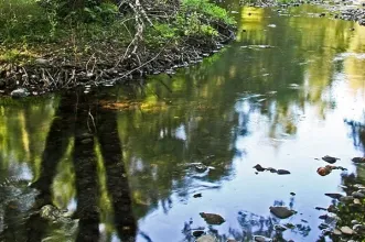 Ponto de Interesse - Praia Fluvial Caldas de São Paulo - Penalva de Alva