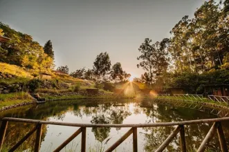 Local - Parque Ribeira Primeira - Santa Cruz| Santa Cruz| Região Autónoma da Madeira