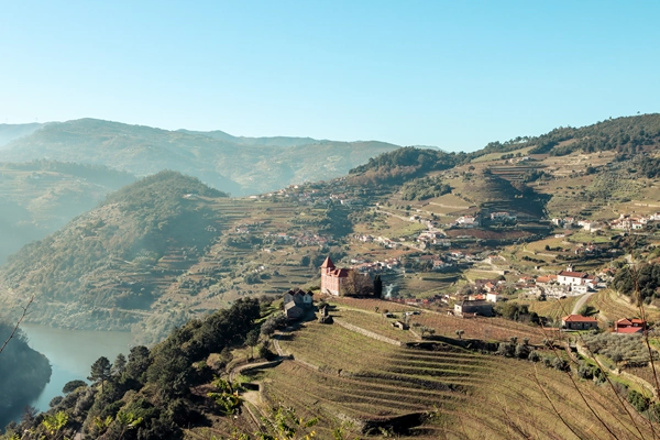 Local - Casa da Vista Alegre - Barqueiros| Mesão Frio| Douro