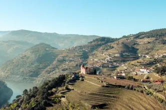 Local - Casa da Vista Alegre - Barqueiros| Mesão Frio| Douro| Portugal