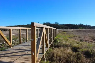 Local - Quinta do Ega - Vagos| Vagos| Região de Aveiro