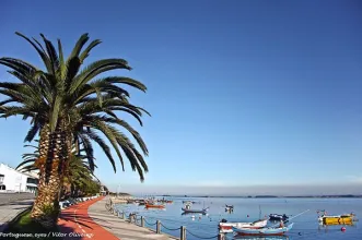 Local - Praia da Torreira - Murtosa| Região de Aveiro| Portugal