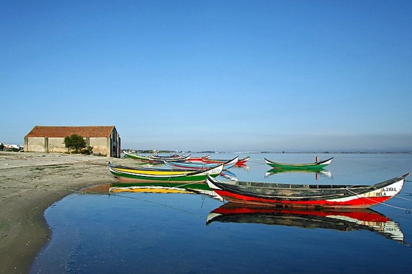 Local - Praia do Monte Branco - Murtosa| Região de Aveiro