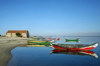 Local - Praia do Monte Branco - Murtosa| Região de Aveiro| Portugal