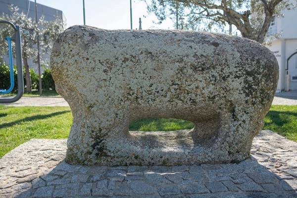 Local - Berrão de Picote  - Picote| Miranda do Douro| Terras de Trás-os-Montes