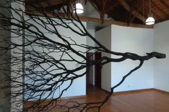 Local - Escola Primária Picote - Picote| Miranda do Douro| Terras de Trás-os-Montes